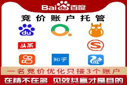 知名SEM运营公司实战案例解析